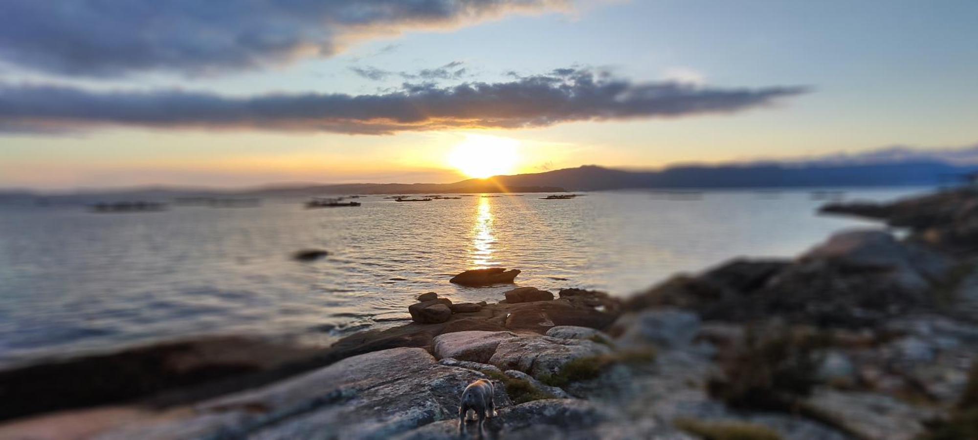 Apartamento El Rincon De Elia, Haz Realidad Tu Sueno De Vivir Con Vistas Al Mar Villanueva De Arosa Eksteriør bilde