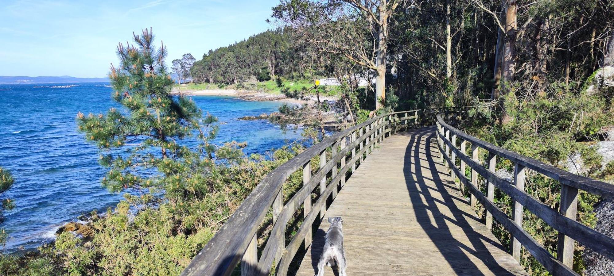 Apartamento El Rincon De Elia, Haz Realidad Tu Sueno De Vivir Con Vistas Al Mar Villanueva De Arosa Eksteriør bilde